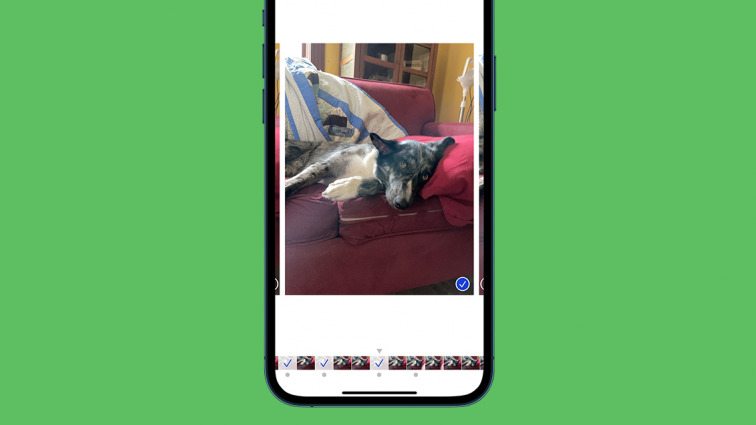 How to Take, View, & Save Burst Photos on iPhone