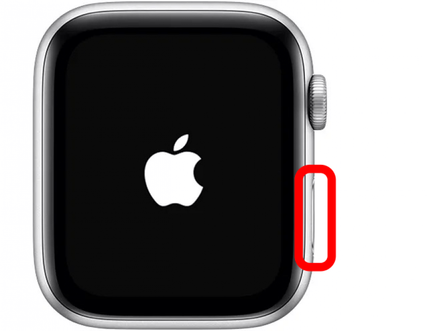 Make sure your Apple Watch is on, or turn it on by holding in the side button until the Apple logo appears.