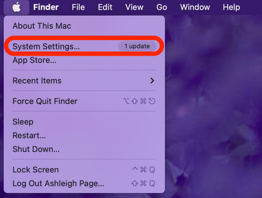 Click the Apple menu and open System Settings.