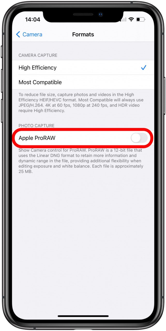 Toggle on Apple ProRAW to enable or disable RAW photos.