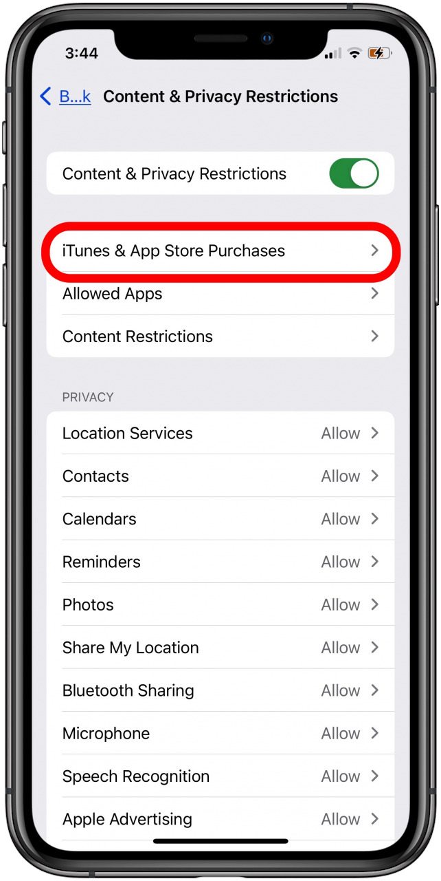 tap itunes and app store purchases to see if app store restrictions are in place